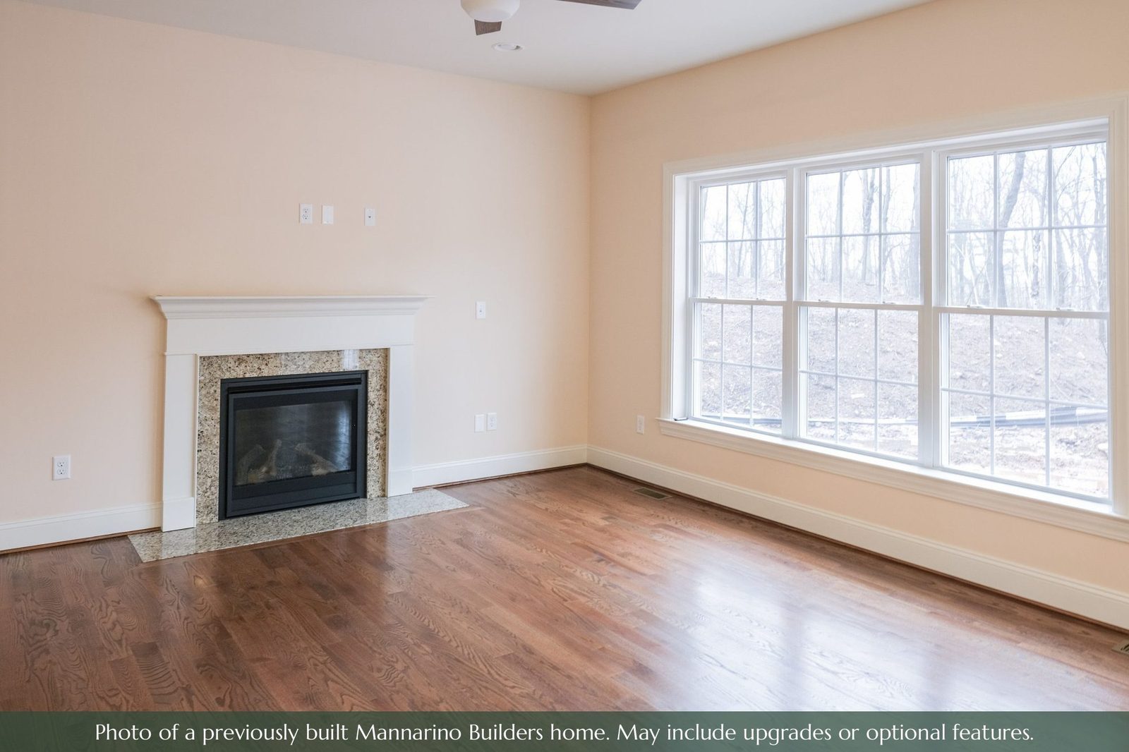 The Mystic: family room with fireplace